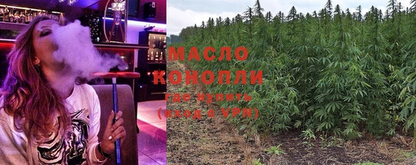 spice Гусев
