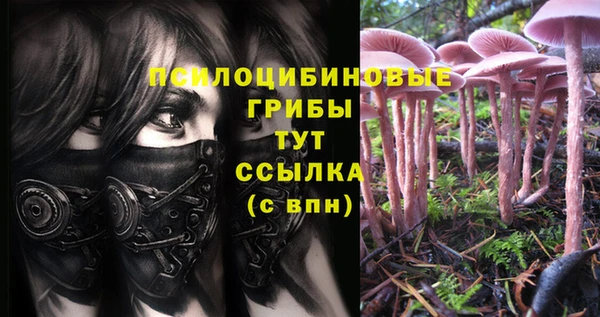 ALPHA PVP Гусиноозёрск