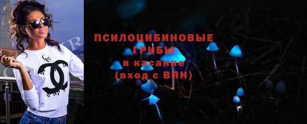 spice Гусев
