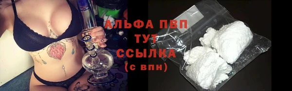 spice Гусев