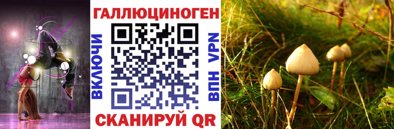 Псилоцибиновые грибы GOLDEN TEACHER  KRAKEN ТОР  Майкоп 